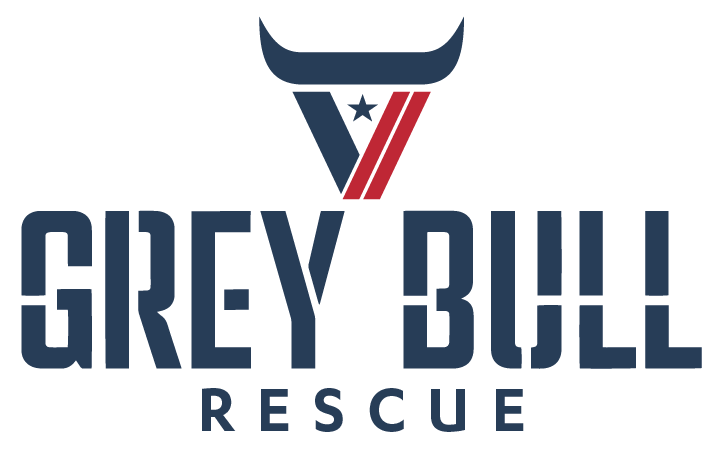 Grey Bull Rescue